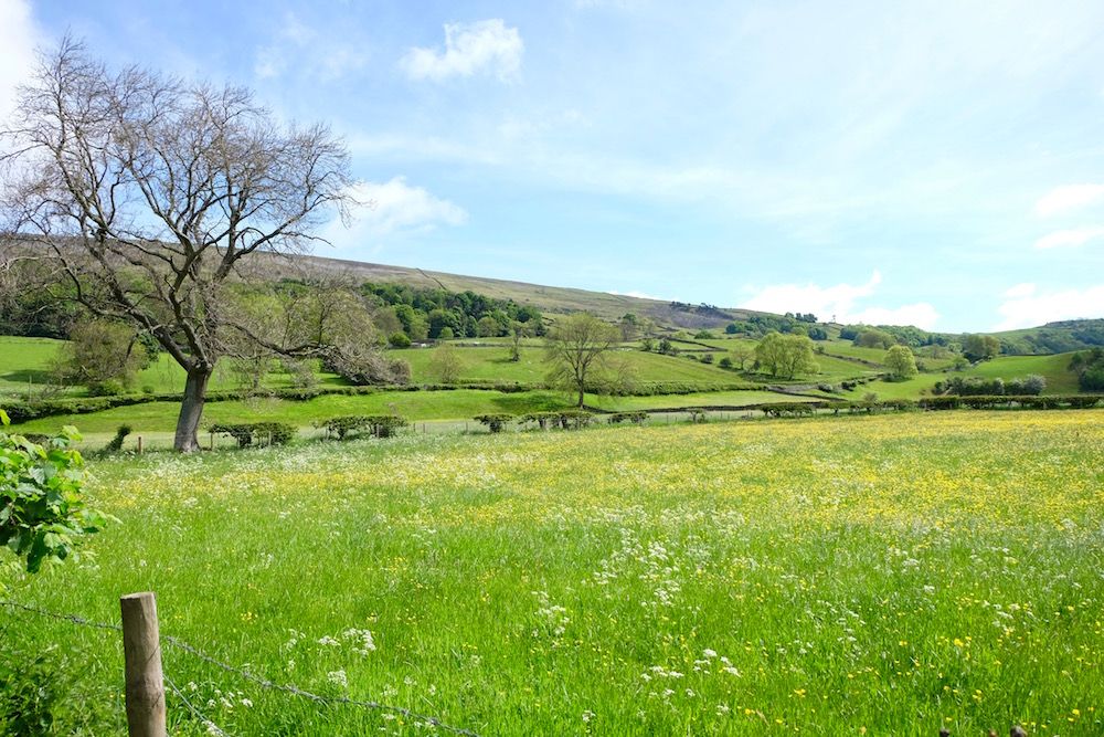 Reeth is tiny village with a large village green, surrounded by wonderful walks, hay meadows and the curling river Swale.